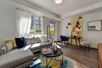 Living Room with Window, , Hardwood Inspired Floor, White Sofa and Colorful Rug